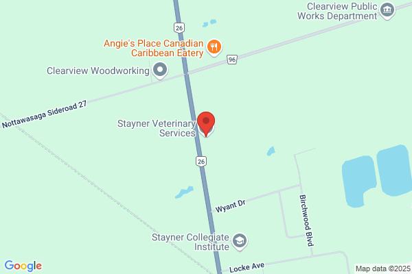 Stayner Veterinary Services