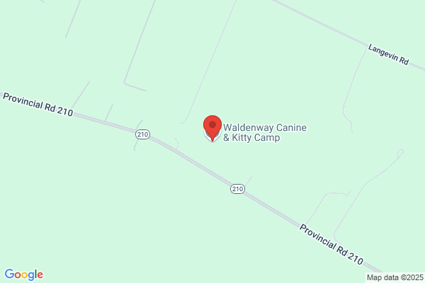 Waldenway Canine & Kitty Camp