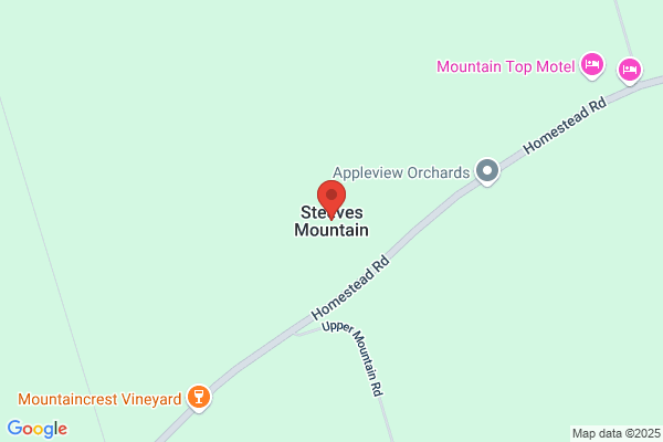 Blondie's Bar