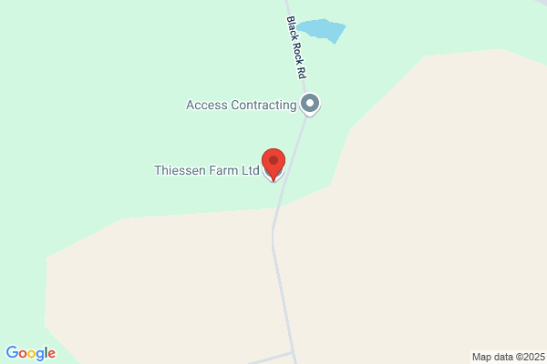 Thiessen Frank R Farms