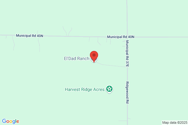 El Dad Ranch
