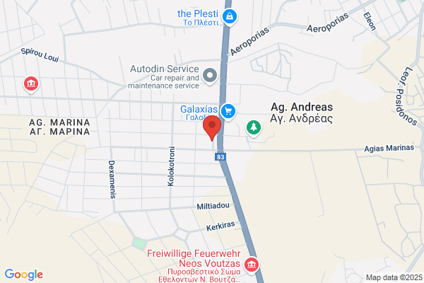 Auto Trust Service