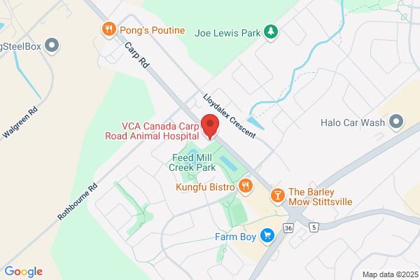Carp Road Animal Hospital