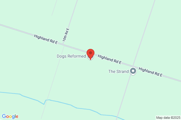 Dogs Inn Daycare