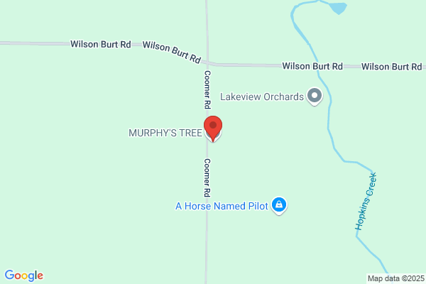 Murphys Professional Tree Service