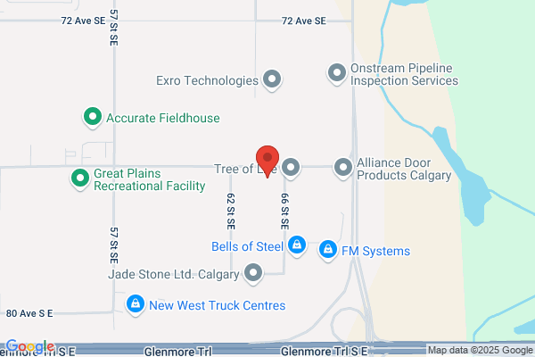 Dsm Engineering Plastics Canada