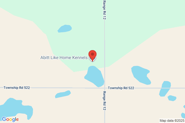 Abitt Like Home Kennels