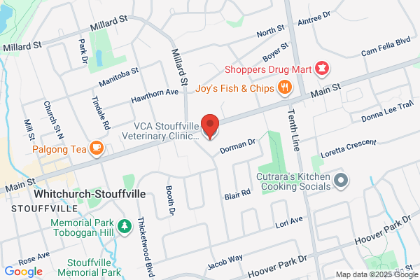 Stouffville Veterinary Clinic
