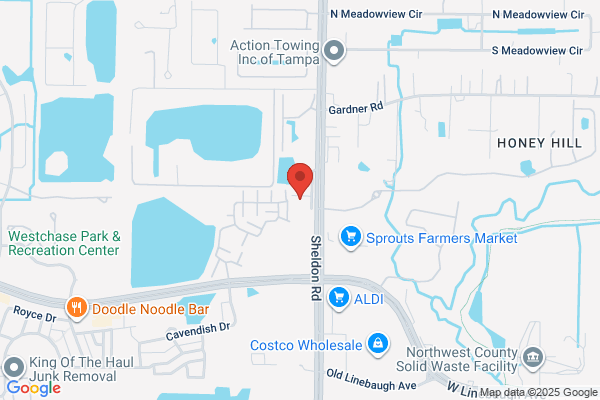 Lazier Sheldon Dr Dentist