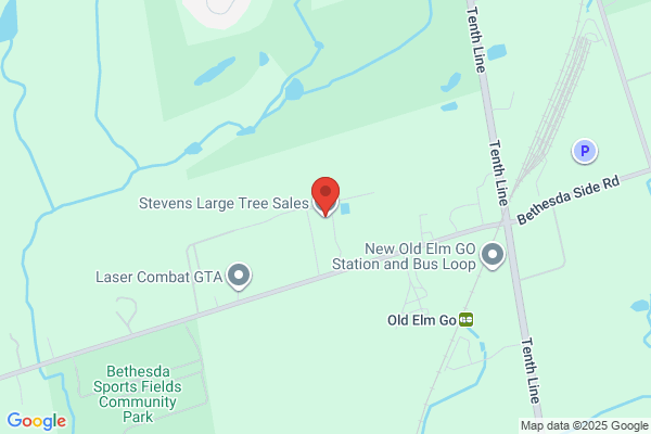 Stevens Large Tree Sales