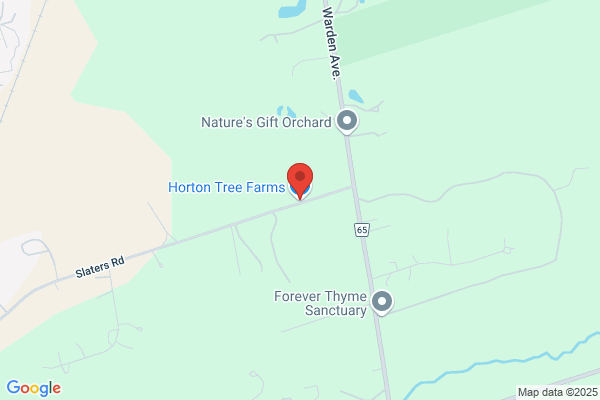 Horton Tree Farm
