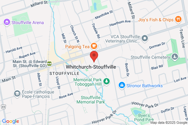 The Lion of Stouffville