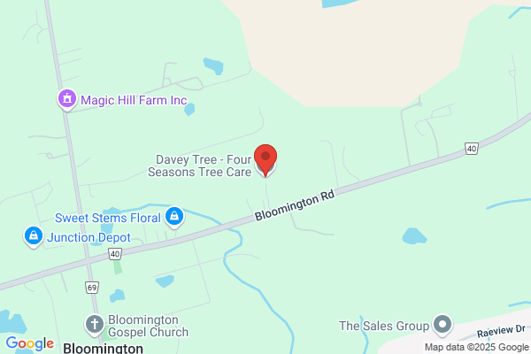 Four Seasons Tree Care