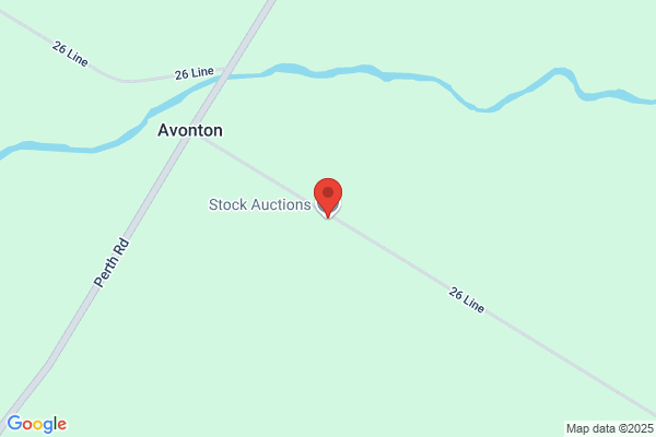 Stock James Auctioneer