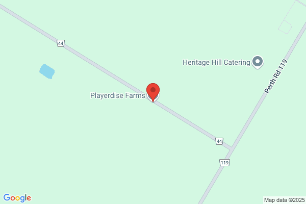 Playerdise Farms Ltd, Elevator