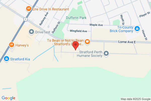 Clear Vision Optical Laboratory Ltd