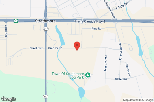 NAPA Auto Parts - NAPA Associate Strathmore
