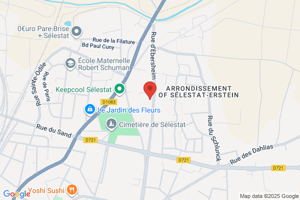 Societe De I'autisme Et Du Trouble Envahissant Du De