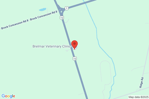 Brelmar Veterinary Clinic