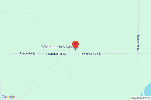 TWQ Kennels & Spa