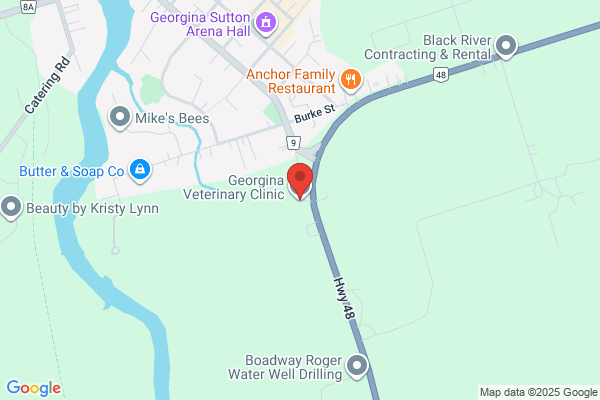 Georgina Veterinary Clinic