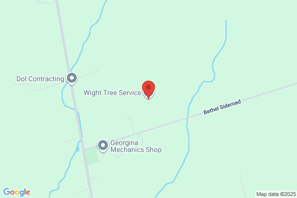 Wight Tree Service Inc
