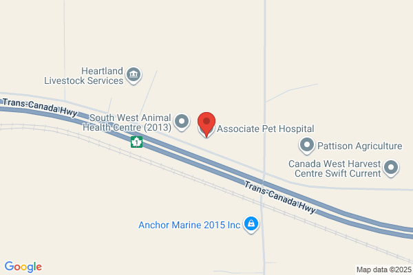 Associate Pet Hospital