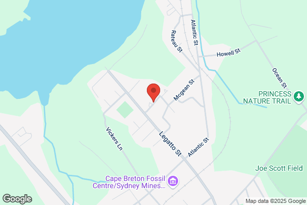 M&M Tree Removal And Labour Services