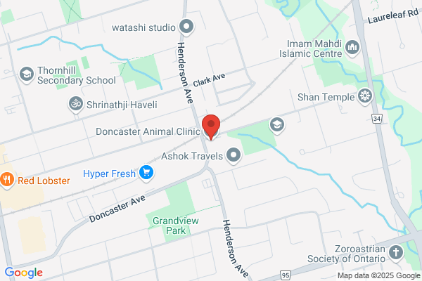 Doncaster Animal Clinic