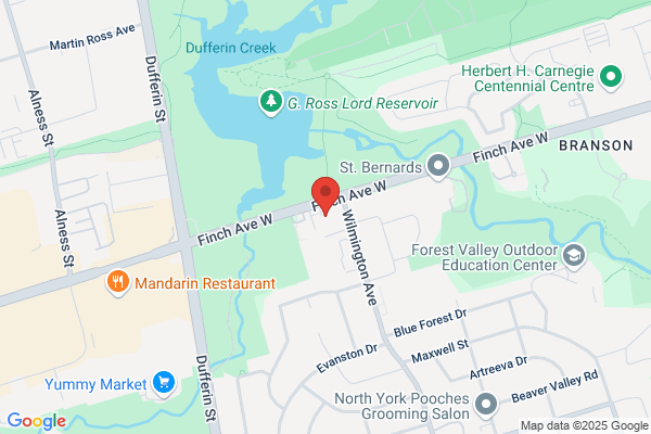Handyman Painting Toronto