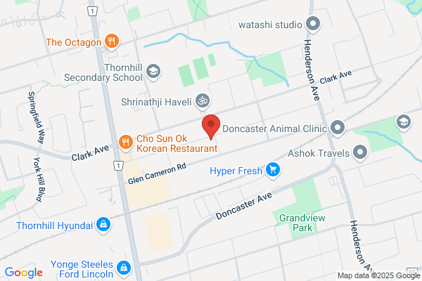 Car Detailing Thornhill