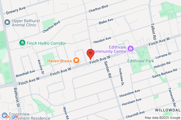 Yonge Finch Physiotherapy