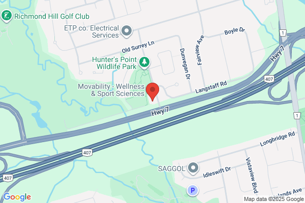 Bayview Seven Animal Hospital