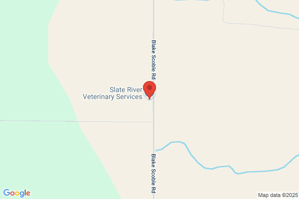 Slate River Veterinary Services