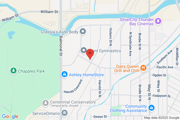 Vecchione's Auto Body & Painting