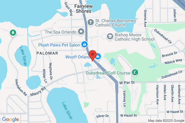 College Park Chiropractic