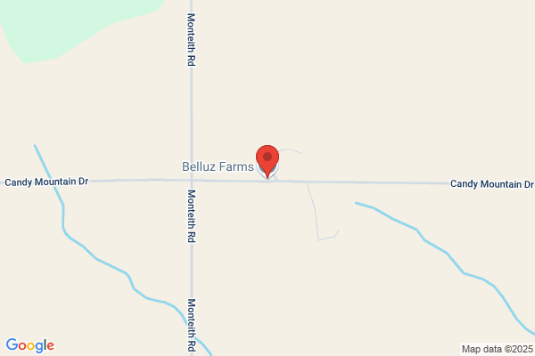 Belluz Farms