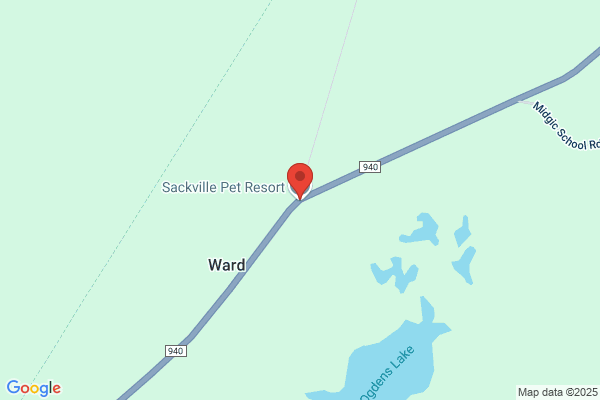 Dacksville Kennels