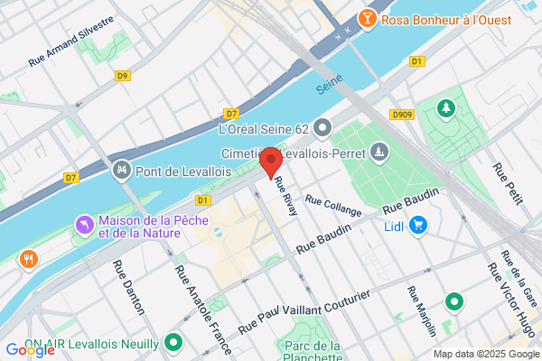 SEO Company Primelis