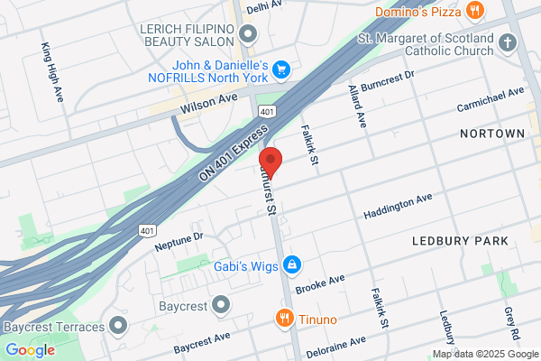 Animal Removal Toronto