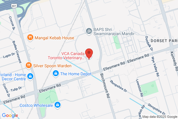 Scarborough Animal Hospital