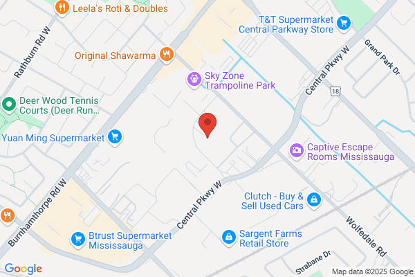 New Life Auto Body