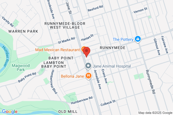 Bloor Dundas Chiropractic