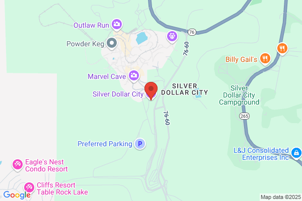 Silver Dollar