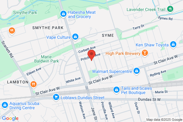 Toronto District School Board, Elementary Schools, George Syme Community School