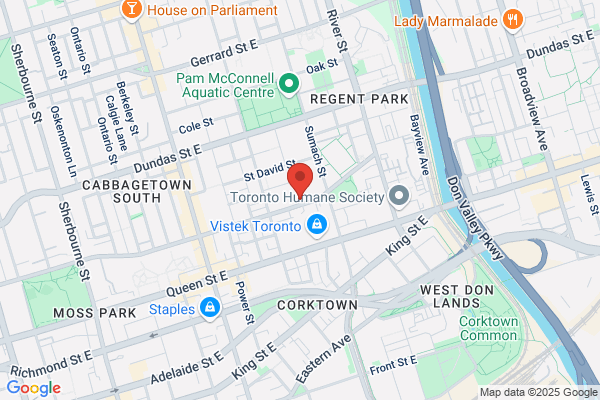 Toronto District School Board, Elementary Schools, Nelson Mandela Park PS