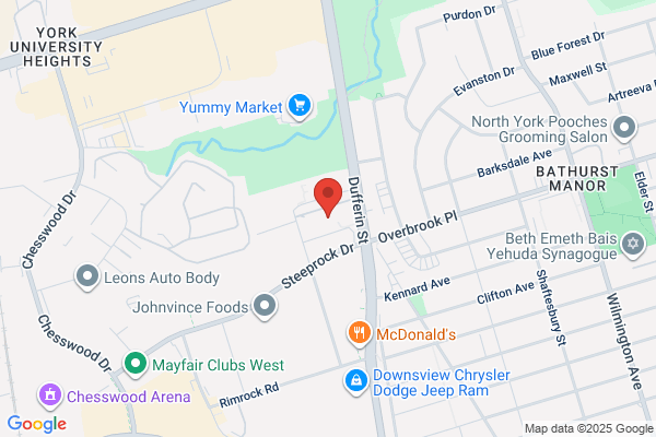 Toronto Fire Services