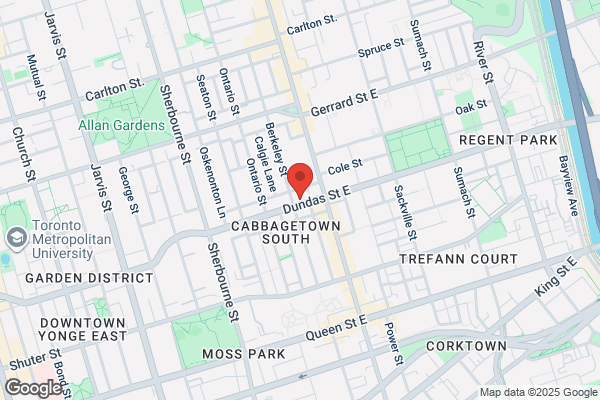 Toronto Womens Neighbourhood Link