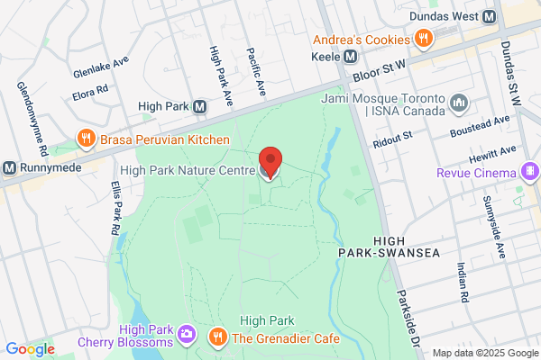High Park Forest School the