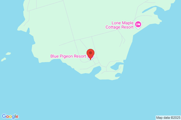 Blue Pigeon Resort